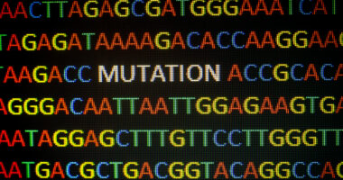 FAP and genetic testing