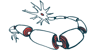 An illustration shows neurons with damaged myelin.