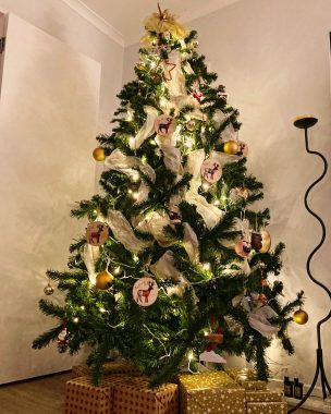 memories | FAP News Today | This 24-year-old Christmas tree is decorated for the holidays