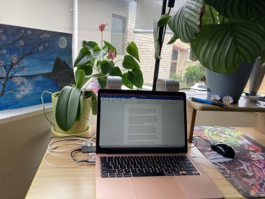 toolkit | FAP News Today | Jaime's writing corner features her laptop, several plants, a painting, and large windows letting in lots of natural light.