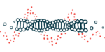 An illustration of a strand of DNA highlights its double-helix structure.